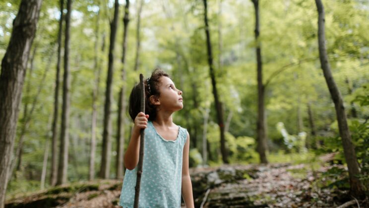 child in the woods